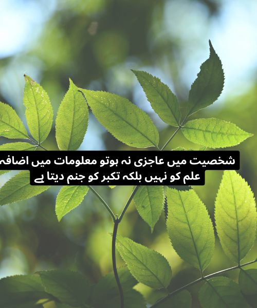 Urdu motivatinal quotes